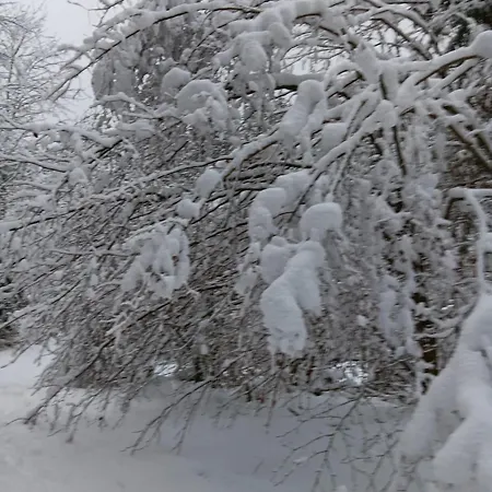 Boutique Fachwerkhaus Thirty Five *