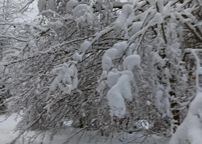 Boutique Fachwerkhaus Thirty Five *